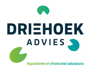 driehoek advies logo
